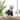 Trendi Pets: ALOA Hawaiian Beach Style Dog T-Shirts