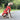 DOUD Warm Waterproof Jacket with Harness the perfect combination of warmth, style, and functionality for small and large dogs alike