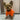 TRENDI PETS: YORK Dog Hoodie