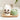 Trendi Pats: Ceramics WALE Bowl & Fountain