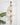 ALA Pine Wood Door Hanging - Trendi Pets