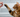 Pawsitively Purr-fect: Clicker Training for Cats Demystified