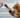 Pawsitively Purr-fect: Clicker Training for Cats Demystified