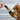 Pawsitively Purr-fect: Clicker Training for Cats Demystified