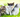 How to Choose the Right Cat for You and Your Family: A Guide to Feline Companionship
