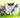 How to Choose the Right Cat for You and Your Family: A Guide to Feline Companionship
