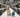 Winter-Ready Dogs: Why Training Your Pup to Wear Clothes is Essential