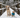 Winter-Ready Dogs: Why Training Your Pup to Wear Clothes is Essential