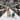Winter-Ready Dogs: Why Training Your Pup to Wear Clothes is Essential