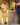 Collar, Harness & Leash - Trendi Pets