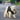 TACT Harness & Leash - Trendi Pets
With full body protection, maximum adjustment ability, and rich functionality, our Tactical Dog Harness and Leash Set is ideal for small dogs, cats, and K9s in various working capacities. 